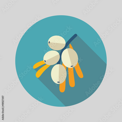Branch of sea-buckthorn berries flat icon. Berry