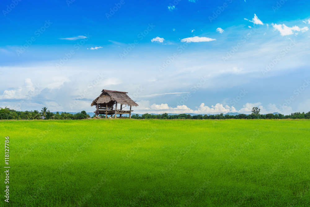 Obraz premium hut on lawn with blue sky and clouds