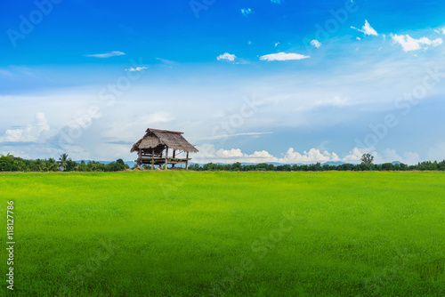 hut on lawn with blue sky and clouds © lamyai