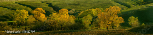Fototapeta Naklejka Na Ścianę i Meble -  Shining autumn trees