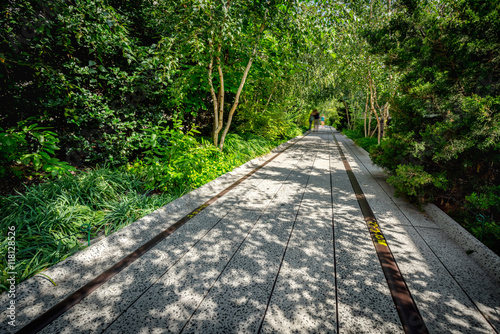 The High Line promenade in Chelsea where trees and summer vegetation completely surround the elevated walkway. A peaceful and quiet place in the heart of Manhattan  New York City