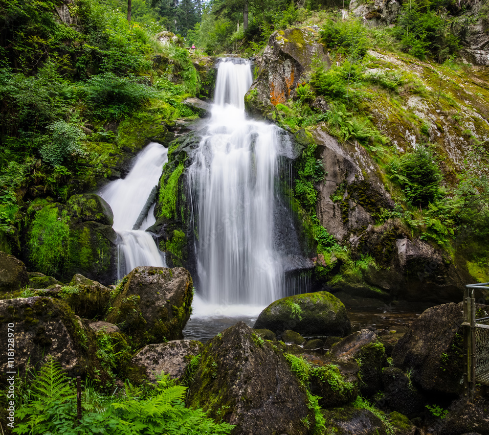 Fototapeta premium Picturesque waterfalls landscape in Germany, Triberg