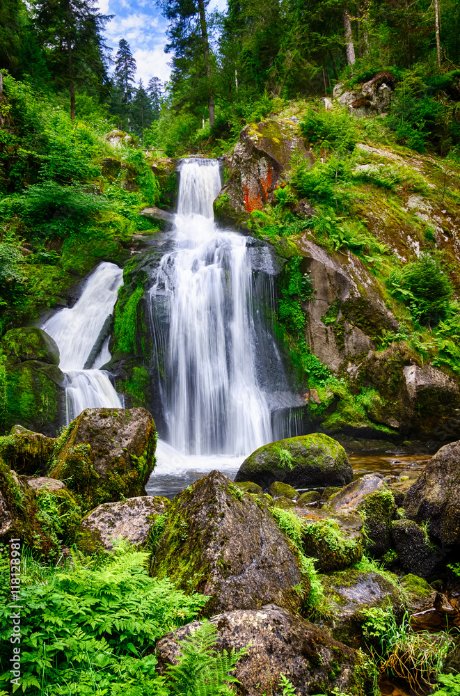 Naklejka premium Thundering and foaming waterfalls of Gutach in Germany, Triberg