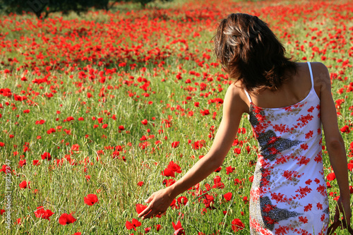femme brune dans un champs de coquelicots 