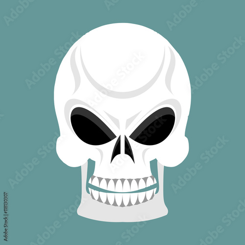 Skull with grin. skeleton head isolated. cranium in green backgr