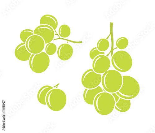 Green grapes. Vector