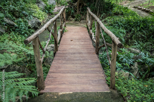 Small bridge in garden