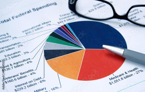Financial pie chart