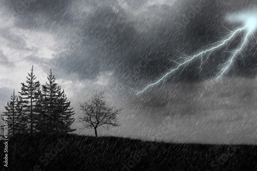 Rain