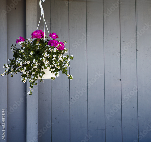 Hanging Flower Pot with fence