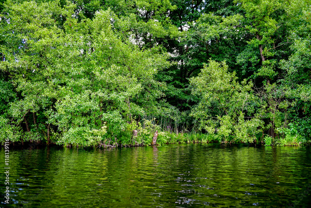 Fototapeta premium Seenlandschaft in Land Brandenburg