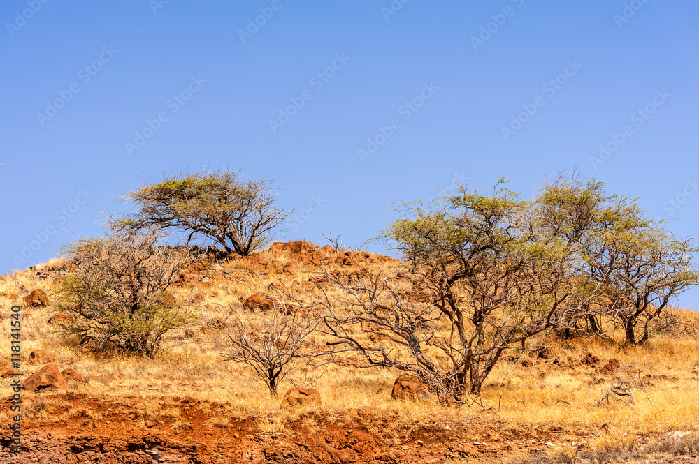 Obraz premium Volcanic landscape on Maui Island in Hawaii.