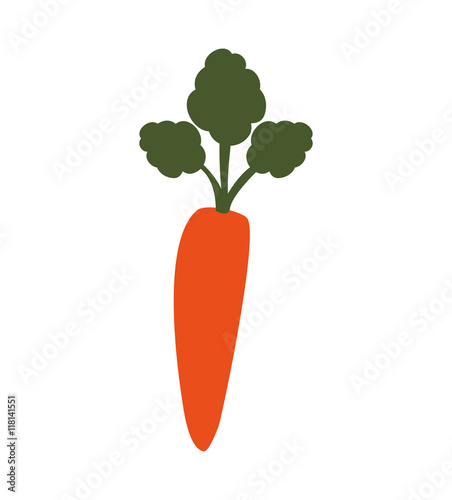 carrot healthy food organic icon. Isolated and flat illustration