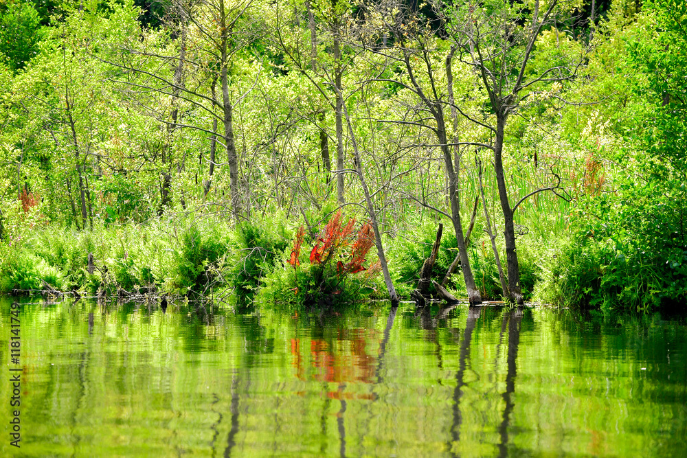 Fototapeta premium Seenlandschaft in Land Brandenburg