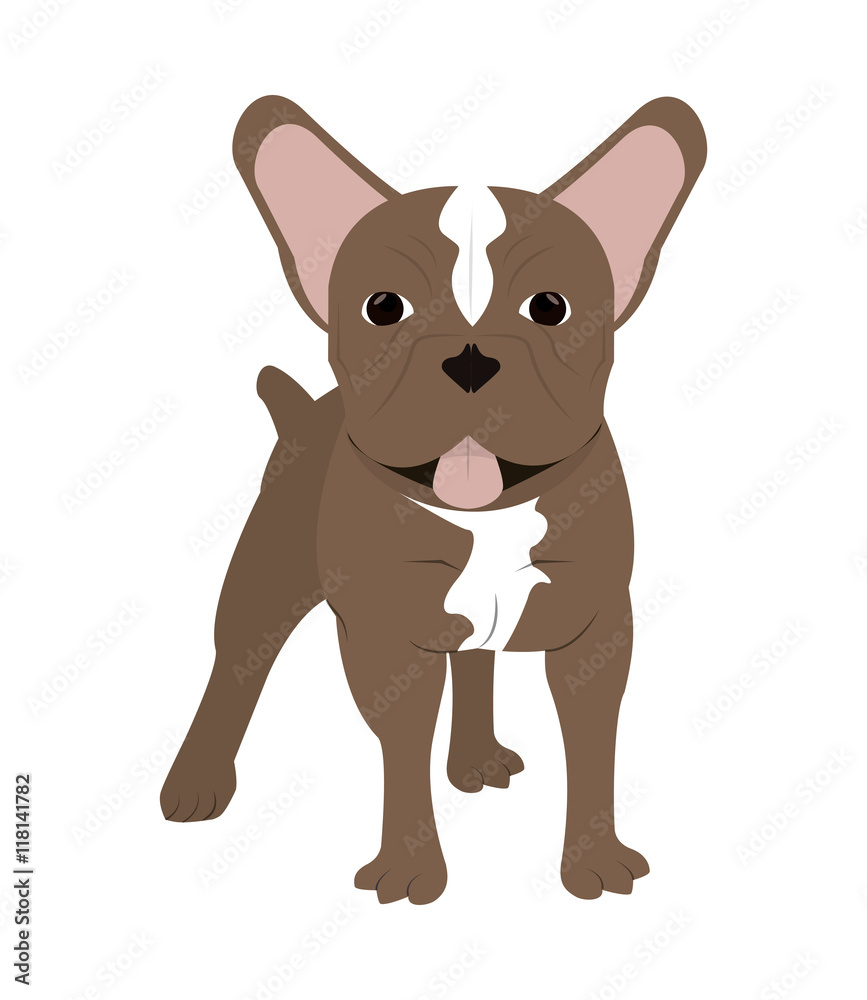 flat design french bulldog icon vector illustration flat design french bulldog icon vector illustration