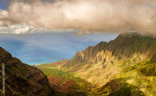 view at the coast line from Kalalau Valley Lookout in Kauai isl