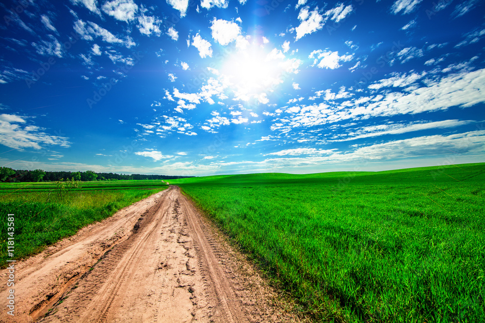 Fototapeta premium Green Field and Beautiful Sunset