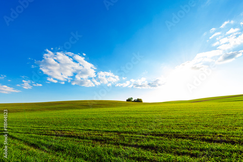 Green Field and Beautiful Sunset