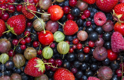 Fototapeta Naklejka Na Ścianę i Meble -  berry background with fresh raspberries, blueberries, currants, strawberries, cherries,