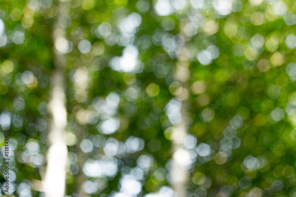 Obraz premium abstract,bacground,blur