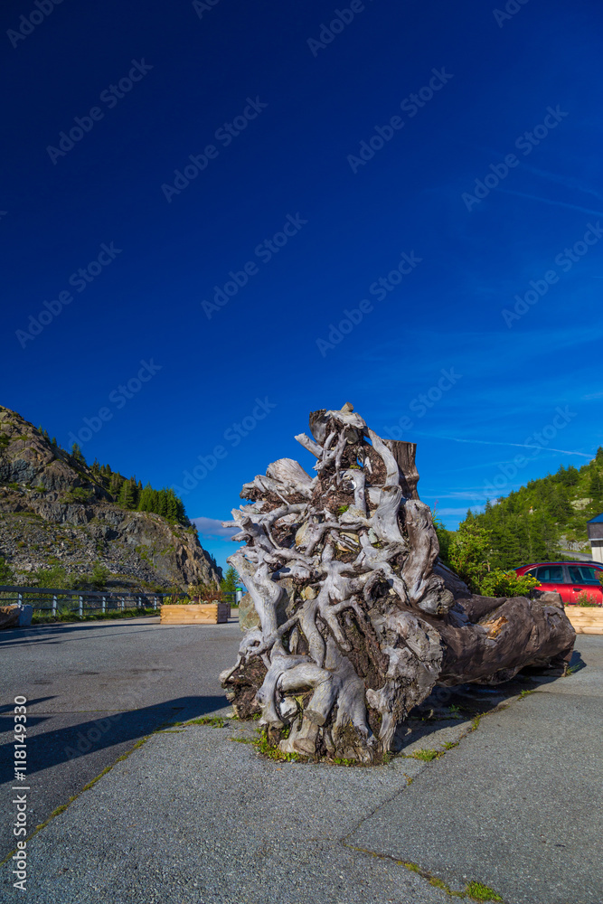 Fallen giant roots of dead tree near Lac Emosson, Finhaut, Switzerland