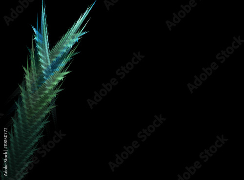 Abstract plant on black background fractal