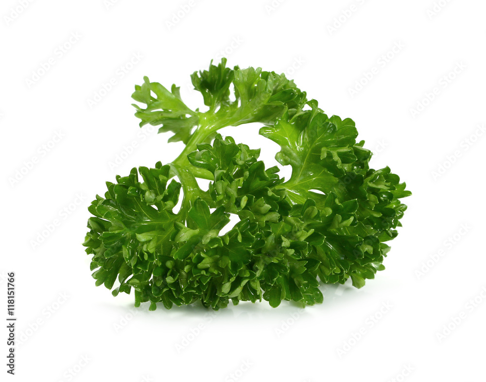 parsley isolated on a white background parsley isolated on a white background