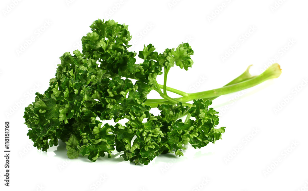 parsley isolated on a white background parsley isolated on a white background