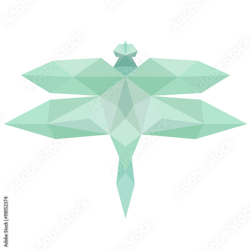 Green polygonal triangle dragonfly