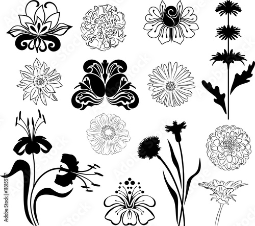 Floral icon series