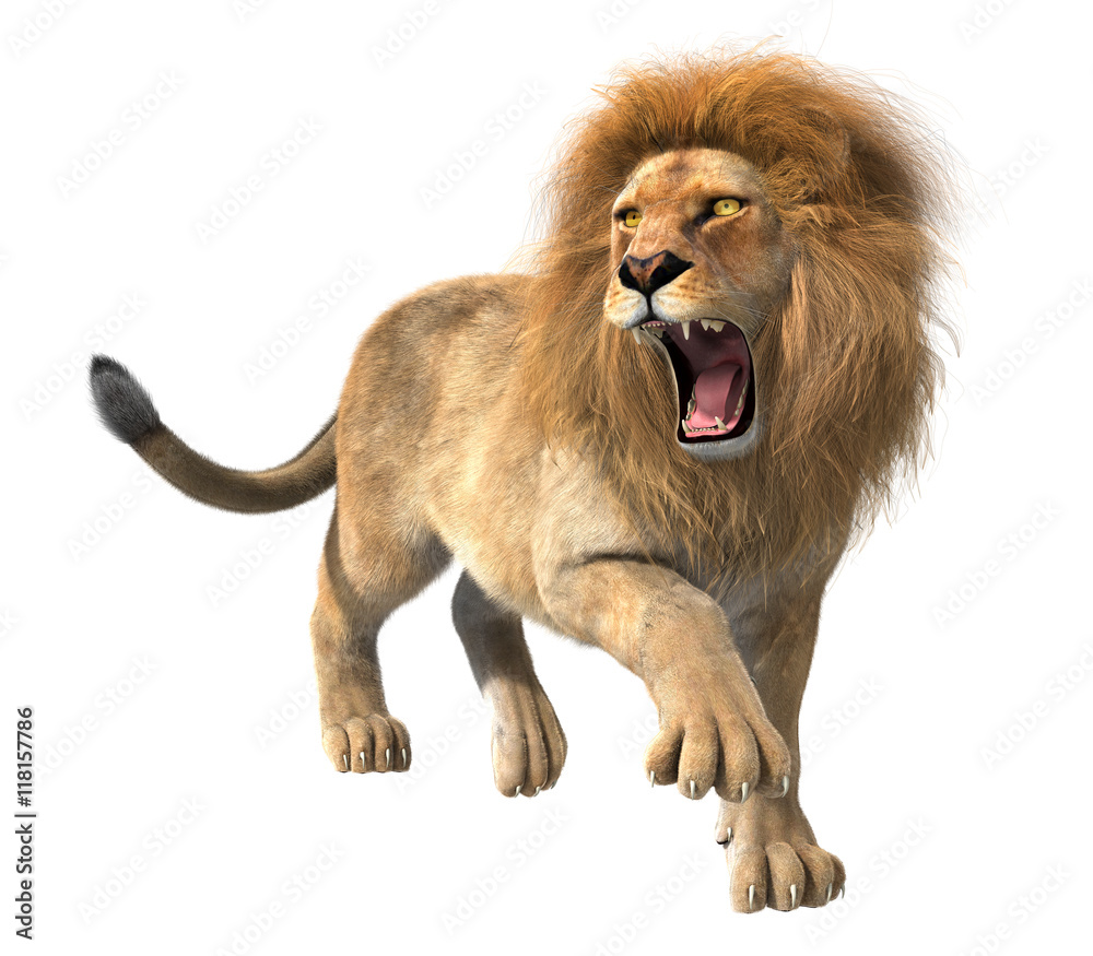 3d CG illustration of roaring lion isolated on white background ...