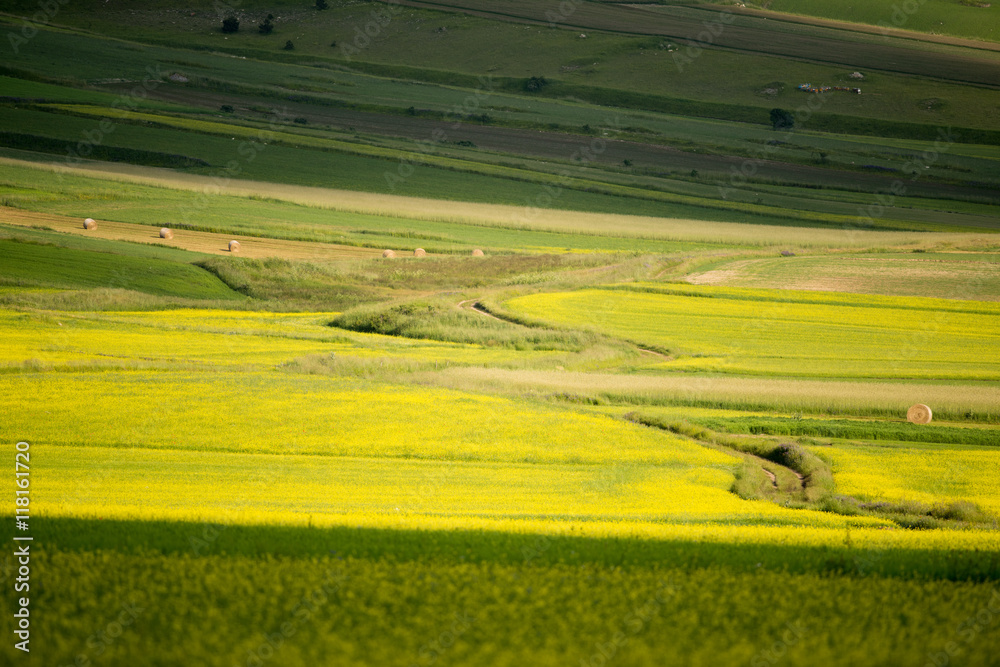 Fototapeta premium Castelluccio di Norcia
