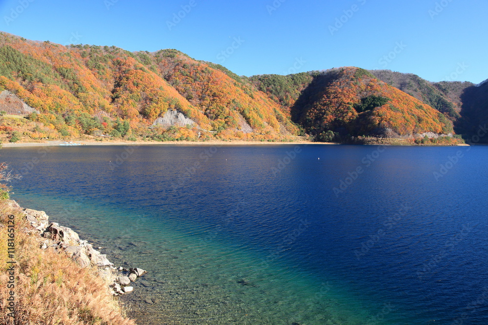 本栖湖の秋