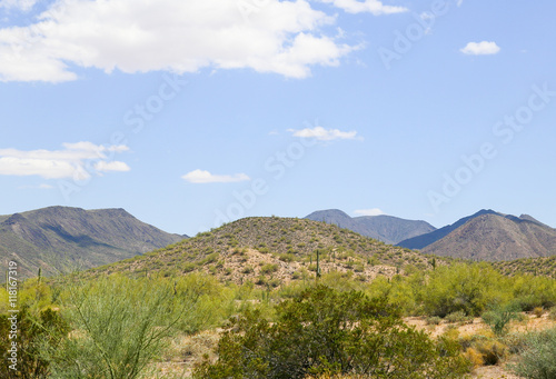 Shrubs and Mountains