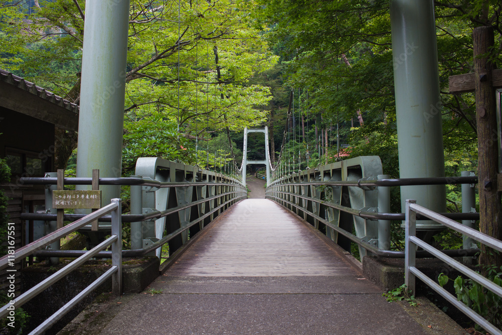 御岳渓谷-東京都 御嶽駅-