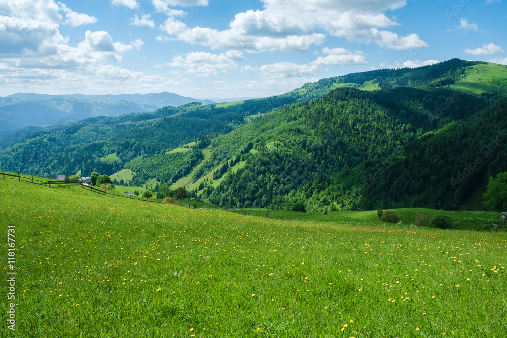 
Green Carpathians meadow and mountains landscape