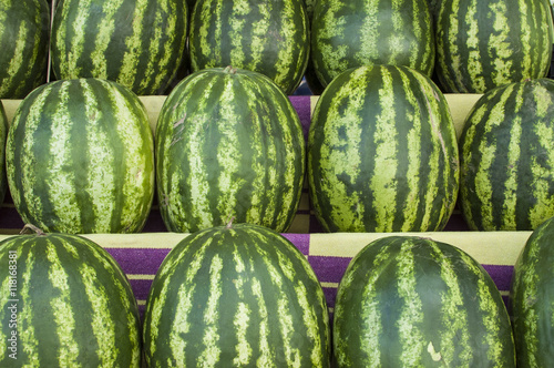 watermelons standing in row at the market