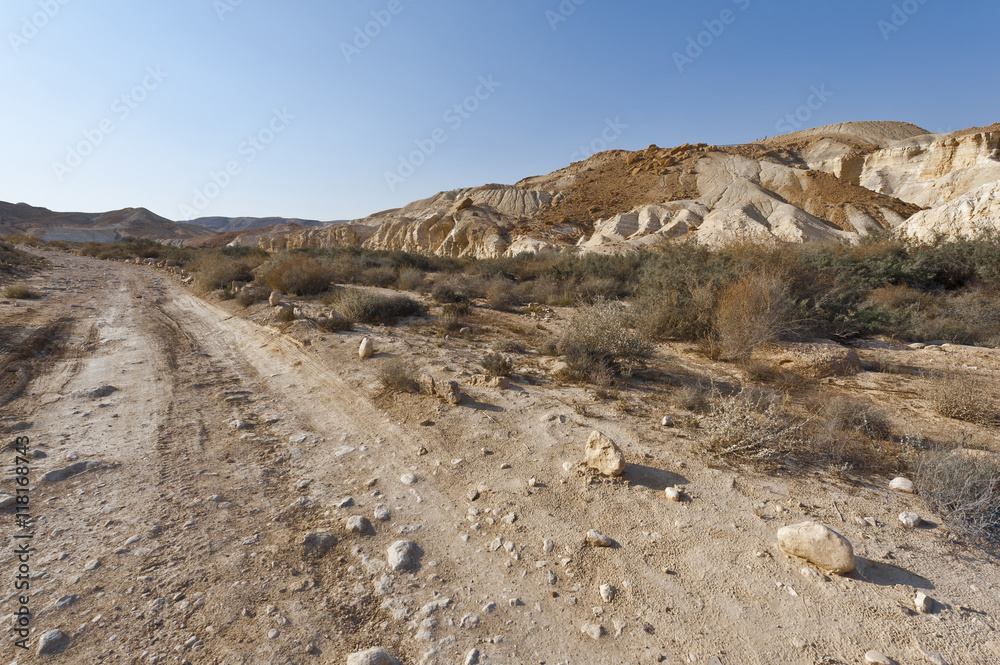 Negev Desert in Israel