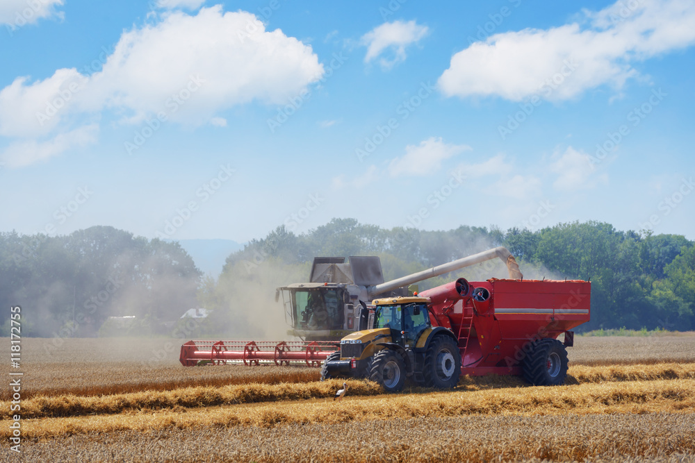 Obraz premium Harvester