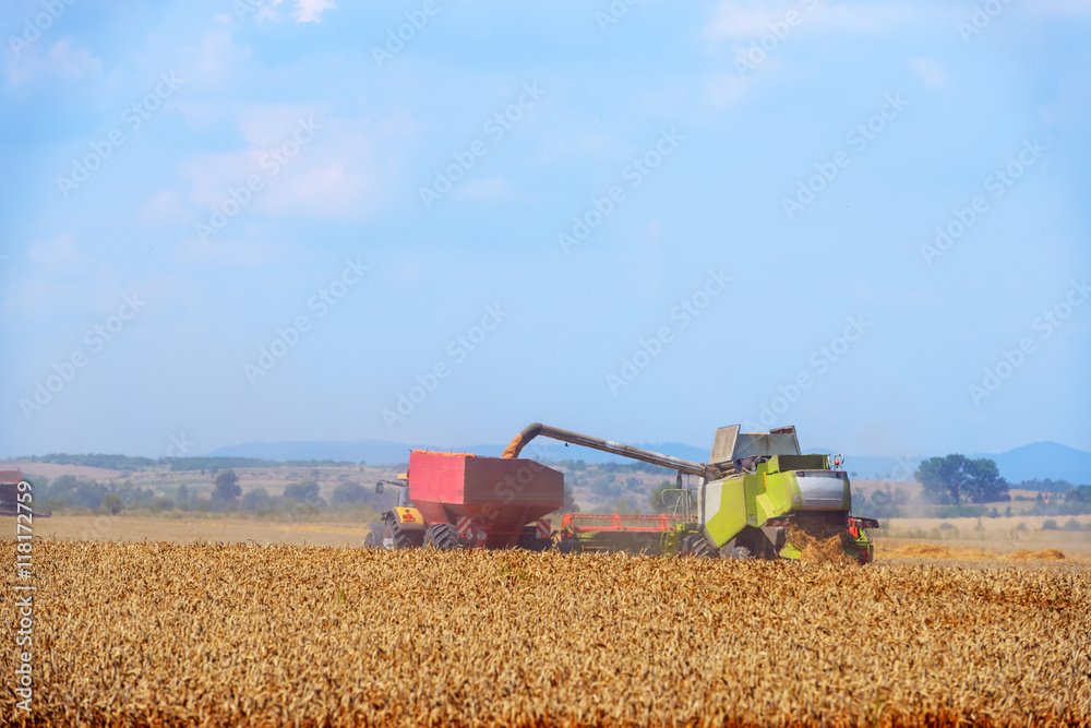 Obraz premium Harvester