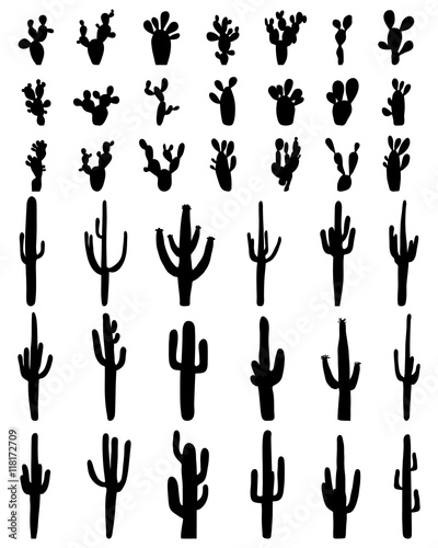 Black silhouettes of different cactus on a white background, vector