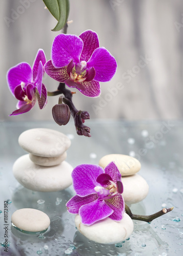 Spa still life with pink flowers and white zen stone