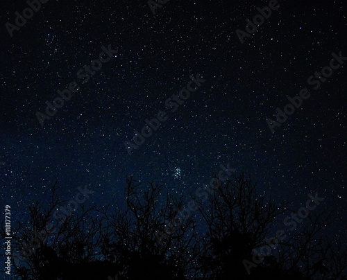 The stars in the night sky. © callisto