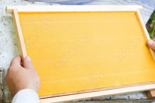 Fotografie The beekeeper has control over a framework with new honeycomb