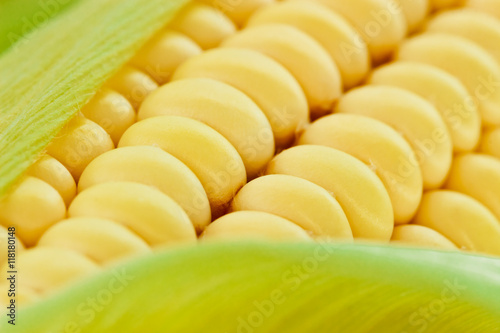 Corn macro