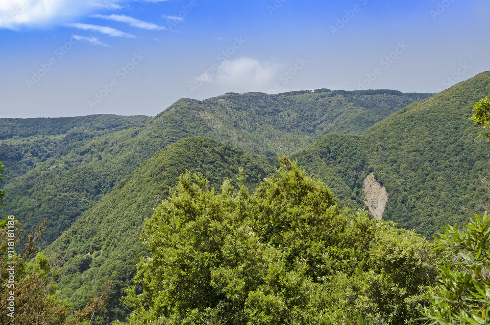 Obraz premium Kalabrien