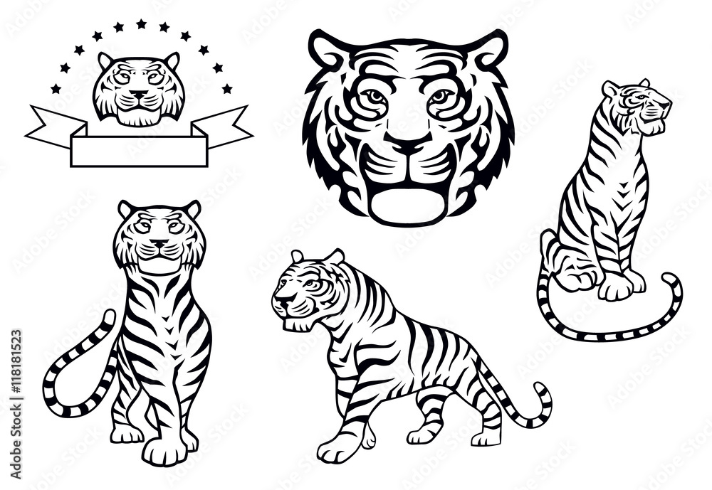4,251 Tiger Front View Images, Stock Photos, 3D objects, & Vectors