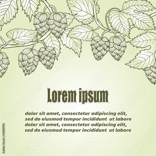 Hop vector background with place for text. 