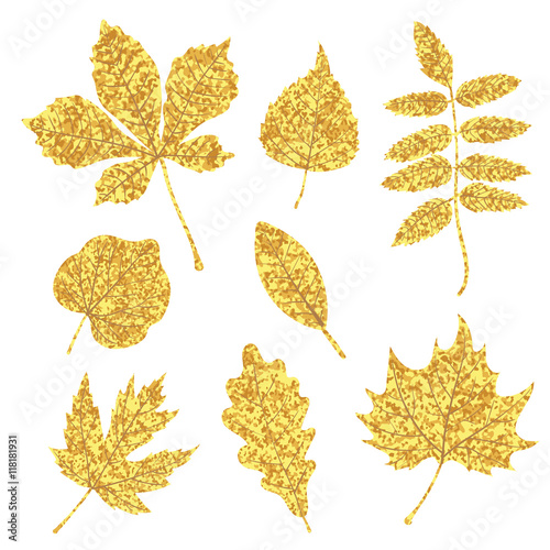 Set of glittering golden leaves isolated on white. Vector illustration.