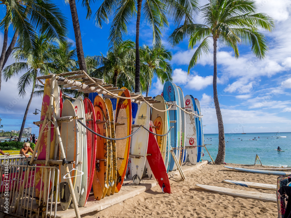Surfboards lined up on Waikiki beach. - obrazy, fototapety, plakaty 